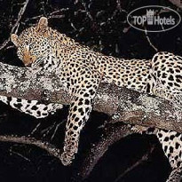Savute Elephant Lodge A Belmond Safari Botswana