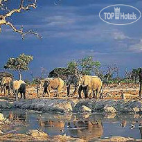 Savute Elephant Lodge A Belmond Safari Botswana