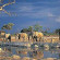 Savute Elephant Lodge A Belmond Safari Botswana