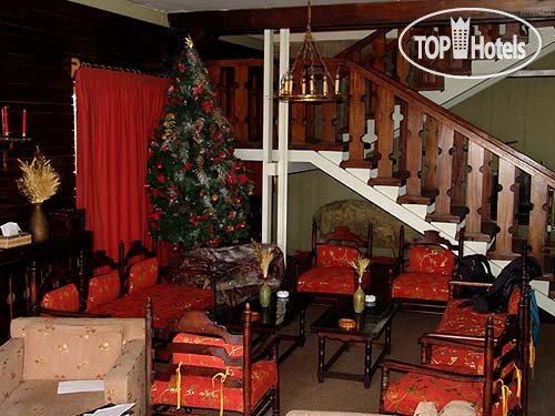 New photos from tourists St. Bernard 4*