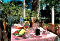 New photos from tourists Al Bustane 5*