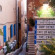 Saifi Urban Gardens 