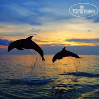 Адам и Ева Сюрпризы Черного моря.