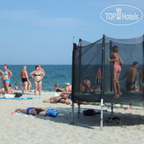 Золотая Нива 