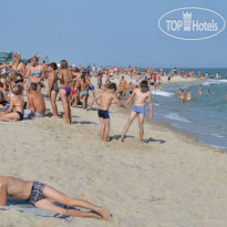 Золотая Нива 