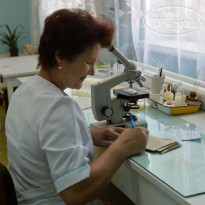 Золотая Нива 