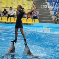 Золотая Нива 