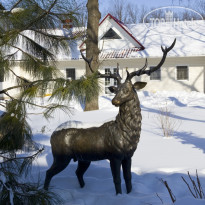 Forest Park Resort & Spa 