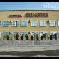 Аллигатор 