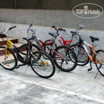 Буймеровка Сосновый & SPА-Курорт 1936 