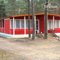 Буймеровка Сосновый & SPА-Курорт 1936 