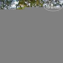 Вилла Велси 