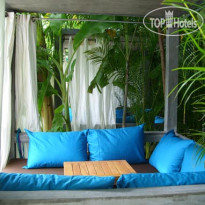 Blue Lime Номер