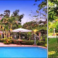 La Palmeraie dAngkor 