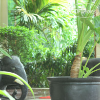 Siem Reap Evergreen Hotel