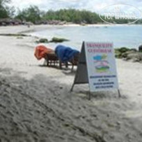 Tranquility Guesthouse 