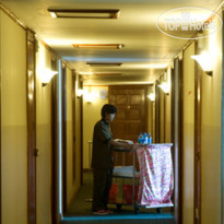 Panda Hotel