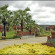 The Serenity Hotel Bagan 