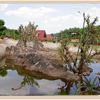 Hill Top Villa