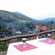 Hill Top Villa 