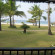 Dream Paradise 