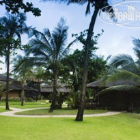 Dream Paradise