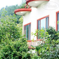 Dreaming Forest Pension Seogwipo 