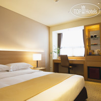 Summit Hotel Seoul Dongdaemun 