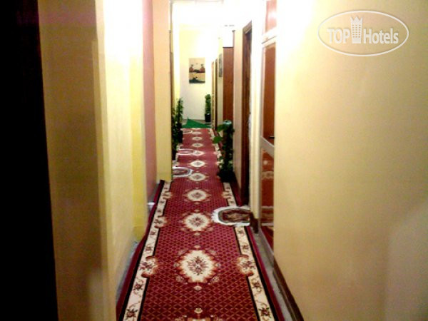 Hotel photo City Plaza Hostel 