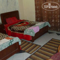 Venus Hostel