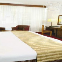 Golden Tulip Flamenco 