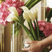 Four Seasons Hotel Cairo at The First Residence