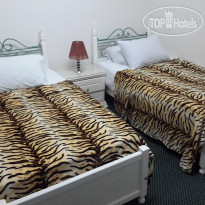 Alexander The Great North Beach AlexMotel