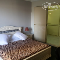 Alexander The Great North Beach AlexMotel