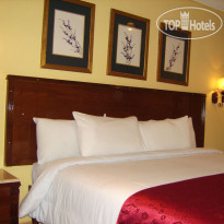 Alexandria Mediterranean Suites 