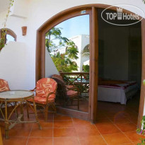 Planet Oasis Терраса