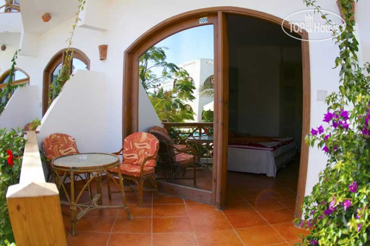 New photos from tourists Planet Oasis 2*