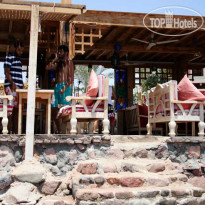 Planet Oasis Кафе