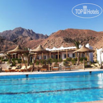 Canyon Estate Residence Dahab 