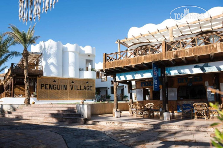 Penguin Village