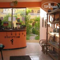 SeaHorse Стойка регистрации