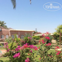 Mermaid Resort & Restaurant Сад