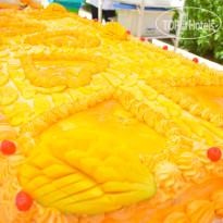 Jasmine Palace Resort & Spa 