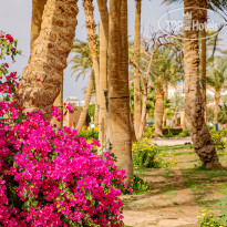 Giftun Azur Resort Сады