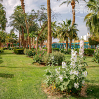 Giftun Azur Resort Сады