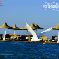 Coral Beach Hotel Hurghada 