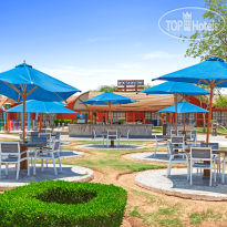 Pickalbatros Water Valley Resort - Neverland Hurghada Бар La Veranda