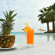 Tawila Island Resort & Spa 