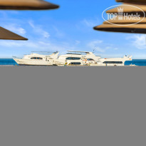 Pickalbatros Palace Resort - Hurghada 