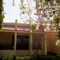 Diamond Beach Hotel by White Valley Hotels & Resorts Бунгало Рамзес